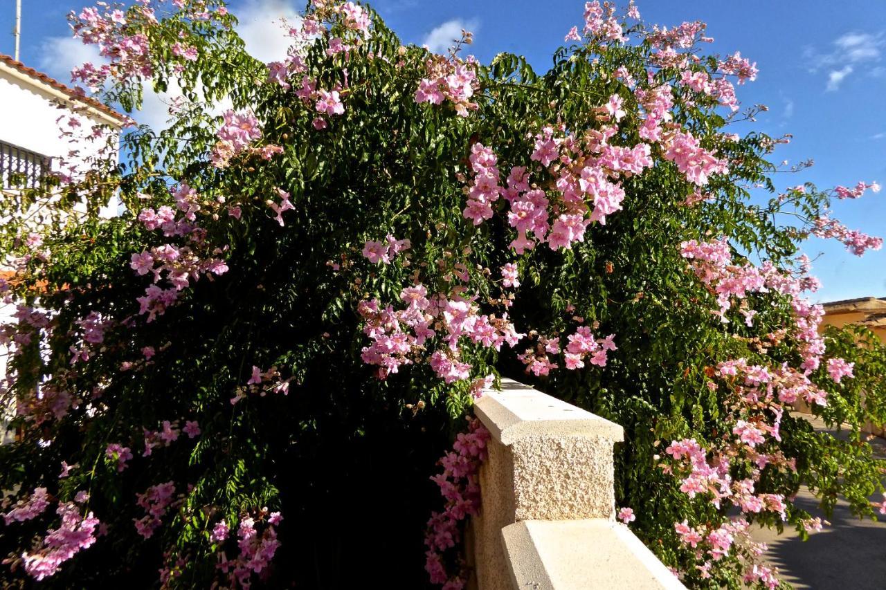 Villa Benavero Boutique Style Within Fenced Tropical Garden Calpe Bagian luar foto