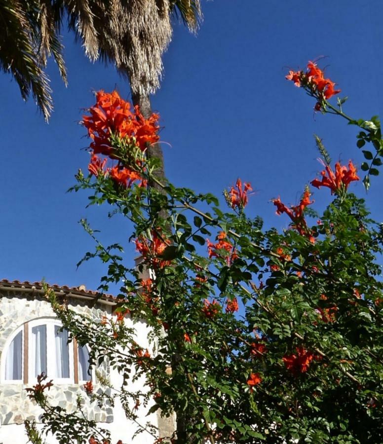 Villa Benavero Boutique Style Within Fenced Tropical Garden Calpe Bagian luar foto